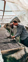 Load image into Gallery viewer, Bekele Yutute (Anaerobic Natural) - Ethiopia