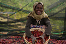Load image into Gallery viewer, Woman holding a basket of coffee beans in a field