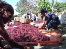 Load image into Gallery viewer, House Blend - Colombia, El Salvador, Guatemala
