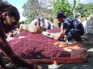 House Blend - Colombia, El Salvador, Guatemala