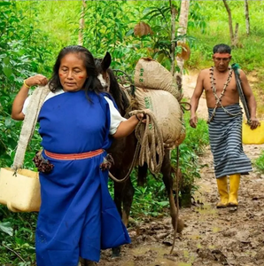 Mamak Shuar (Washed) - Ecuador