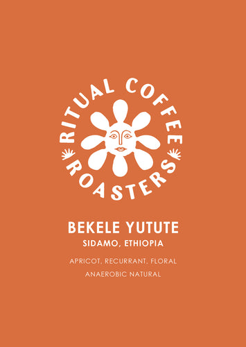 Bekele Yutute (Anaerobic Natural) - Ethiopia