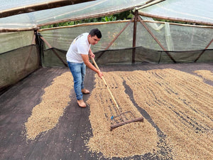 Nestor Lasso (Anaerobic Washed) - Colombia