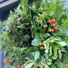Load image into Gallery viewer, Wreath Making Workshop
